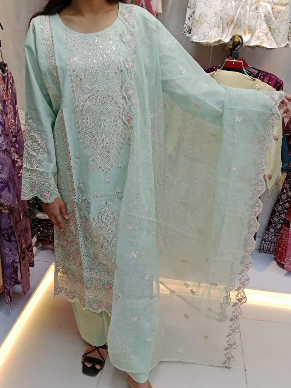 Pakistani Inspired Slub Cotton Dress with Panel & Boaring Work